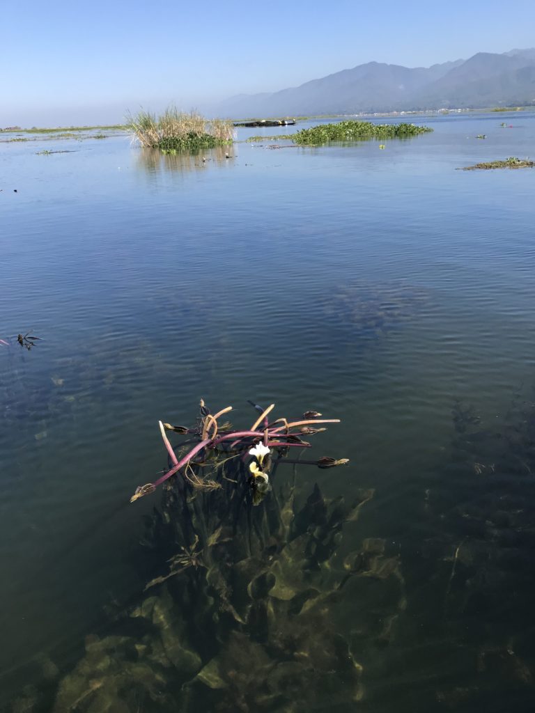 Inle Lake Myanmar