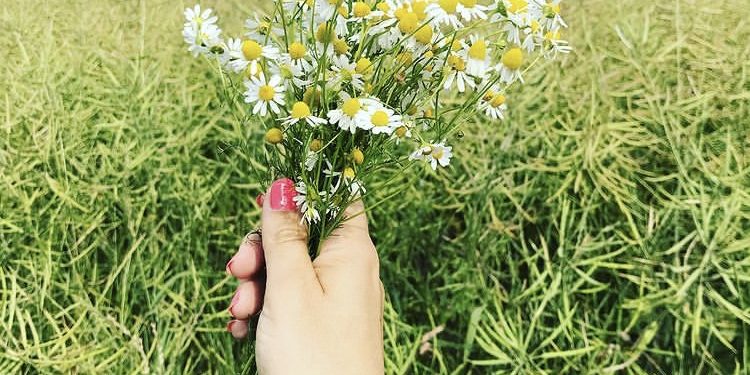 Mindfulness Practice - a form of meditation