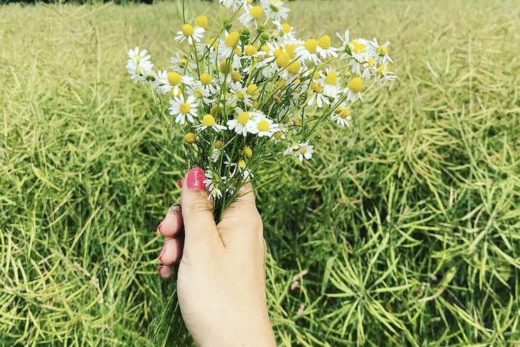 IMG_2944 Mindfulness Practice - a form of meditation