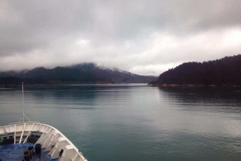 New Zealand diaries - South Island