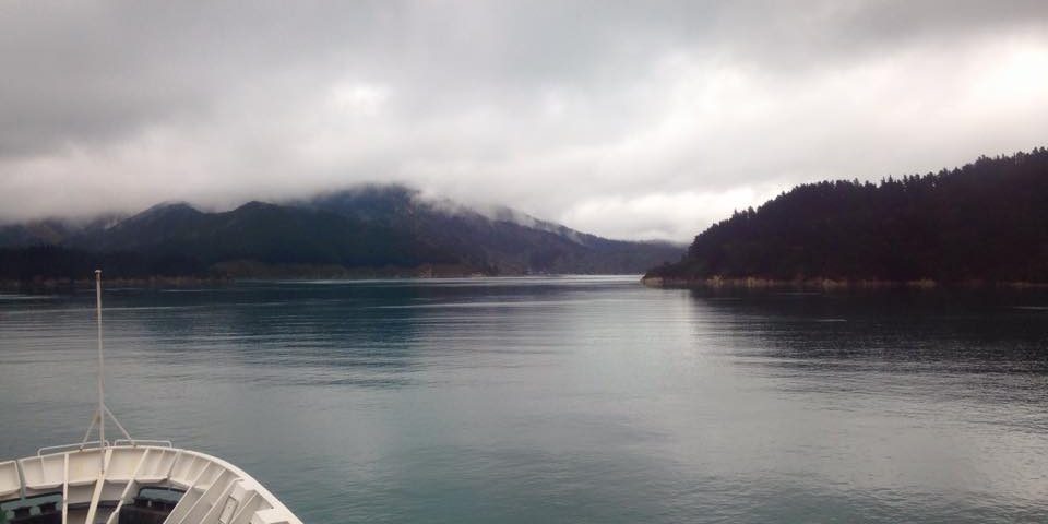 New Zealand diaries - South Island